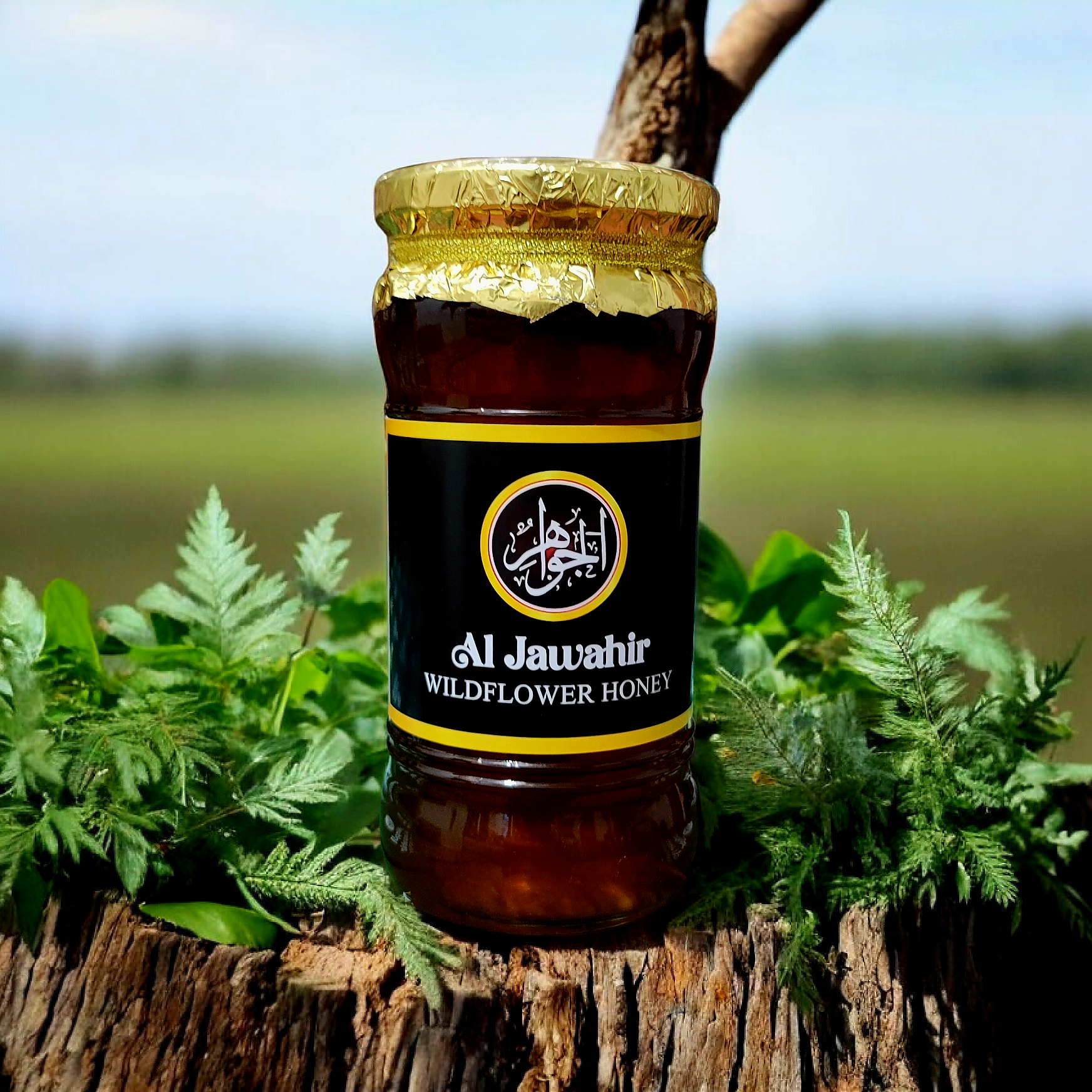  (1 KG) پلوسہ یعنی بڑی مکھی شہد - Al Jawahirs